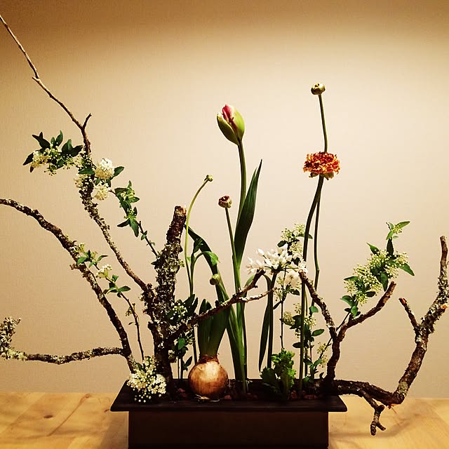 部屋全体/ハンドメイド/観葉植物のインテリア実例 - 2016-08-16 20:53:05