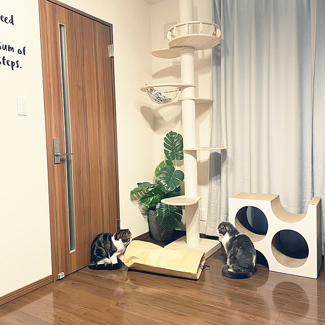 tansukeさんの部屋