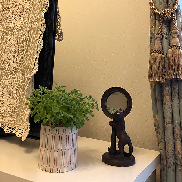 机/インテリア迷走中。。。/NO GREEN NO LIFE/いいね♪いつもありがとうございます❤️/観葉植物...などのインテリア実例 - 2018-05-04 14:39:44