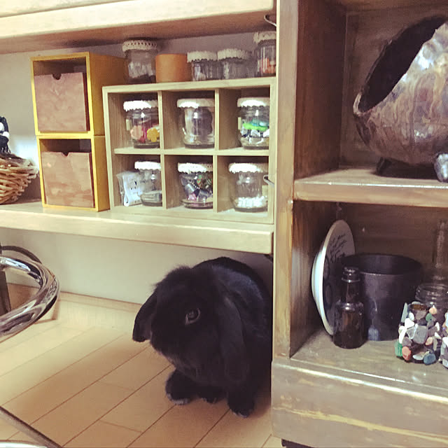 tudukiさんの実例写真