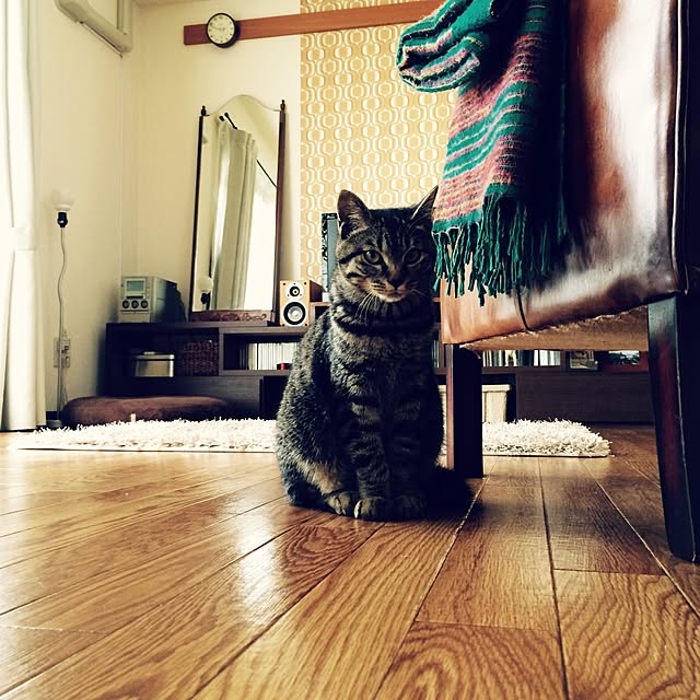 maruさんの実例写真