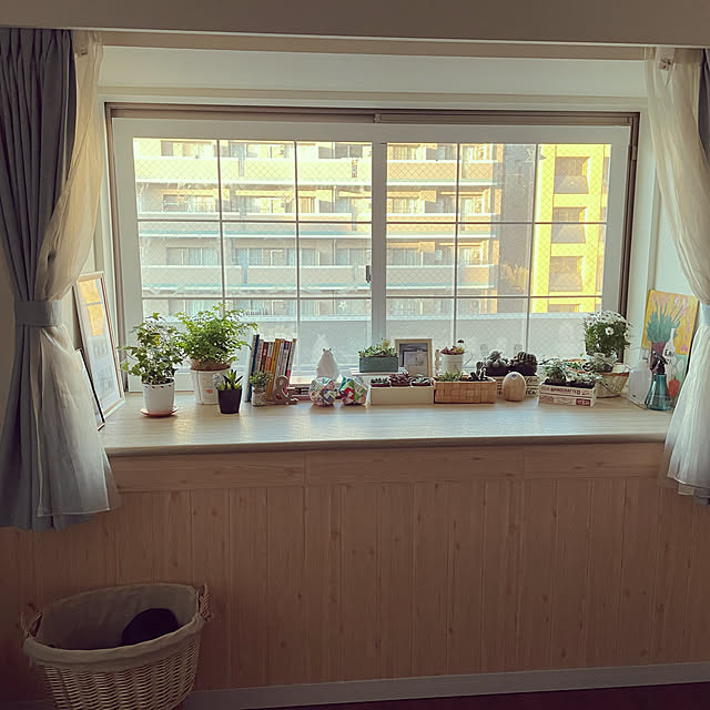 季節を楽しむ暮らし/観葉植物/ナチュラル/100均/DIY...などのインテリア実例 - 2021-01-31 08:16:57