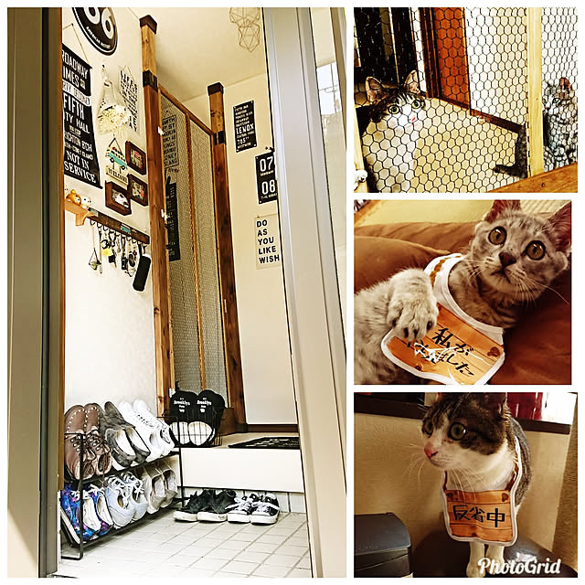 kiraさんの実例写真
