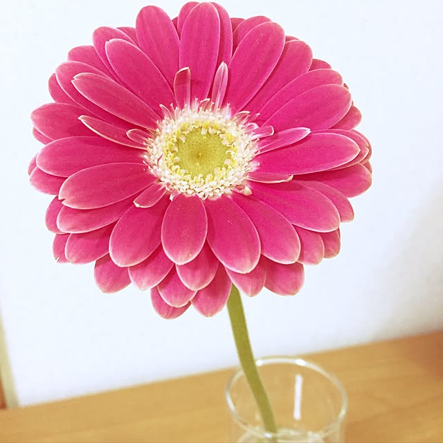 marico246さんの実例写真