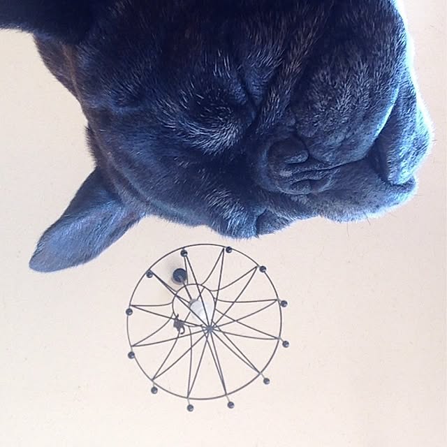 zymaさんの実例写真