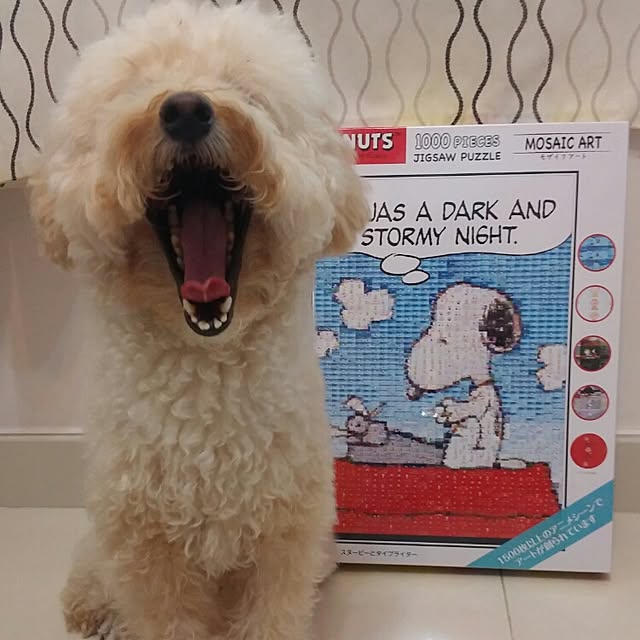 Karkeeさんの実例写真