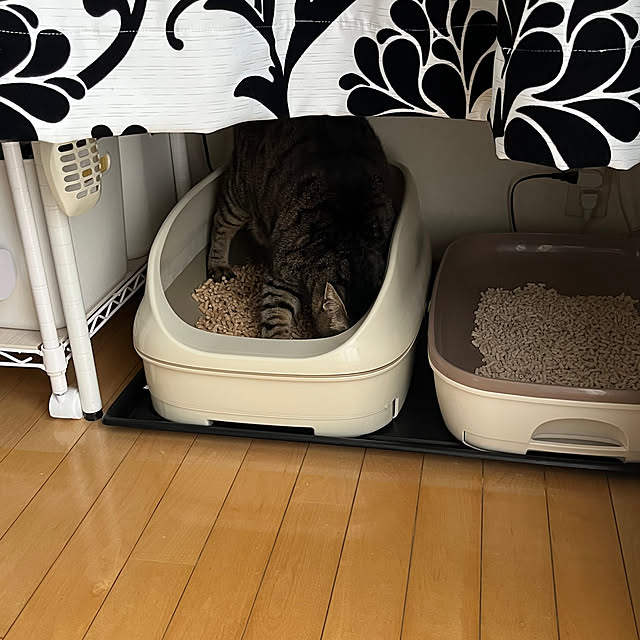 yukarin-gardenさんの部屋
