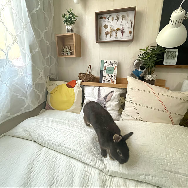 mo-nosukeさんの実例写真