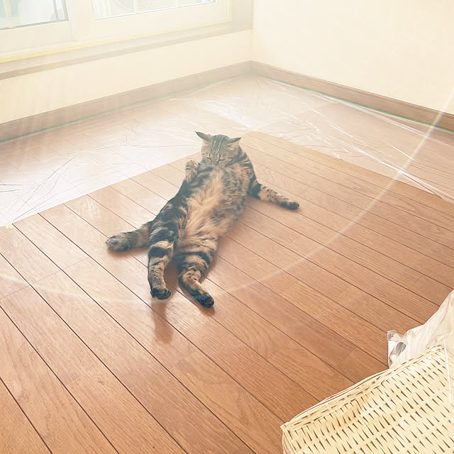 necomuraさんの実例写真