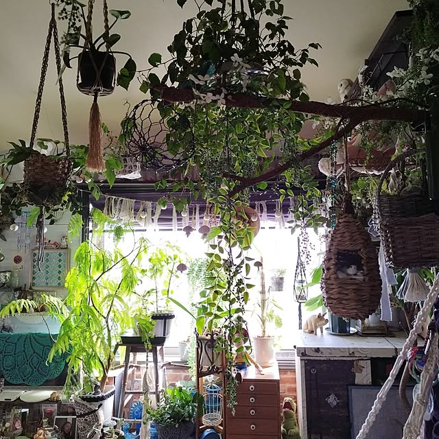 hiro3さんの部屋