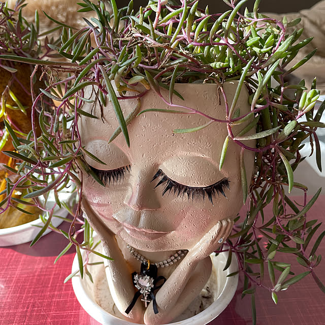 ariari0527さんの実例写真