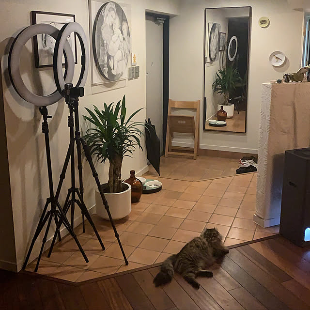louisさんの実例写真
