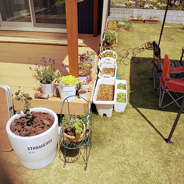 Chico.さんの実例写真