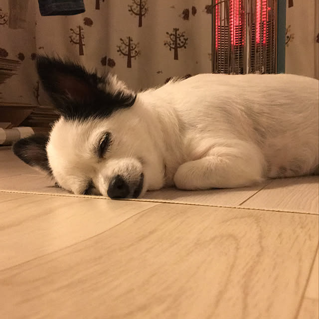 ohanaさんの実例写真