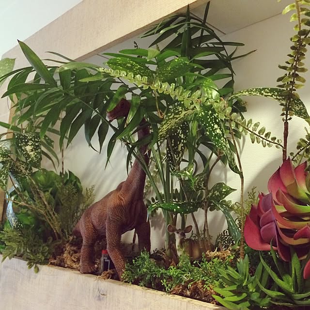 chisaruさんの実例写真