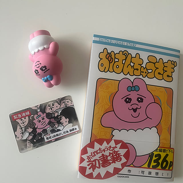 a.iさんの部屋