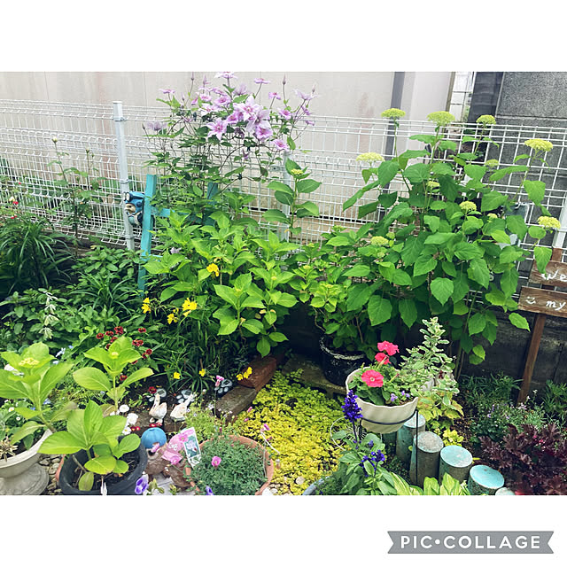 CoCo0617さんの部屋