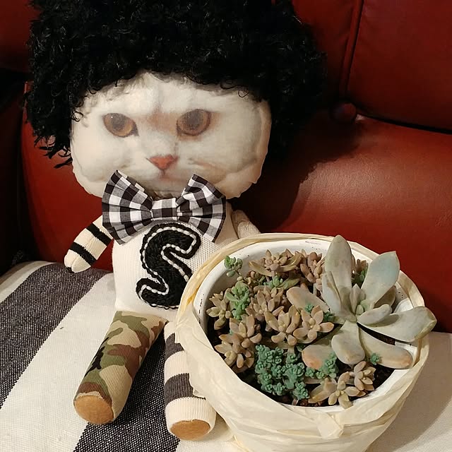 catslmさんの実例写真