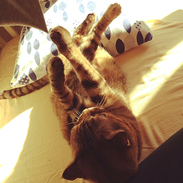 Y.Gさんの実例写真