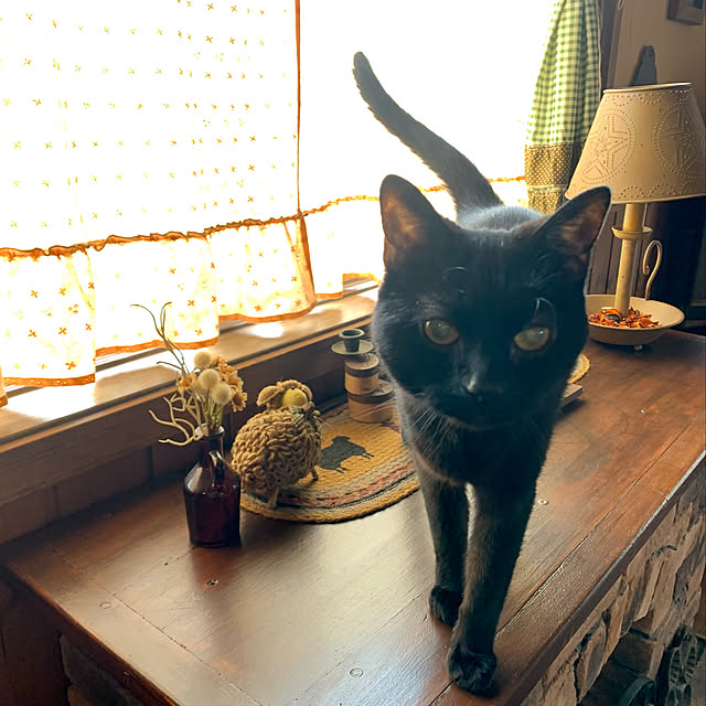 tabasaさんの実例写真