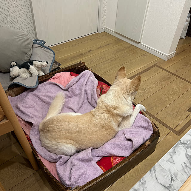 tanboさんの部屋