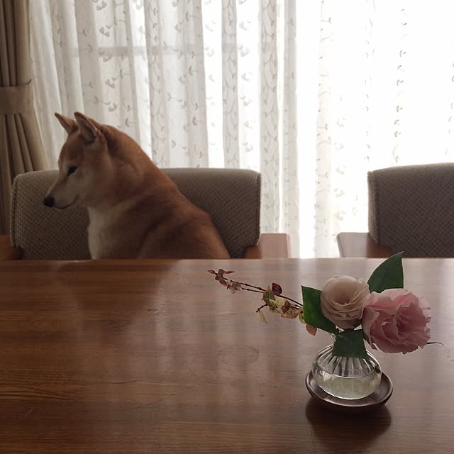 reycaさんの実例写真