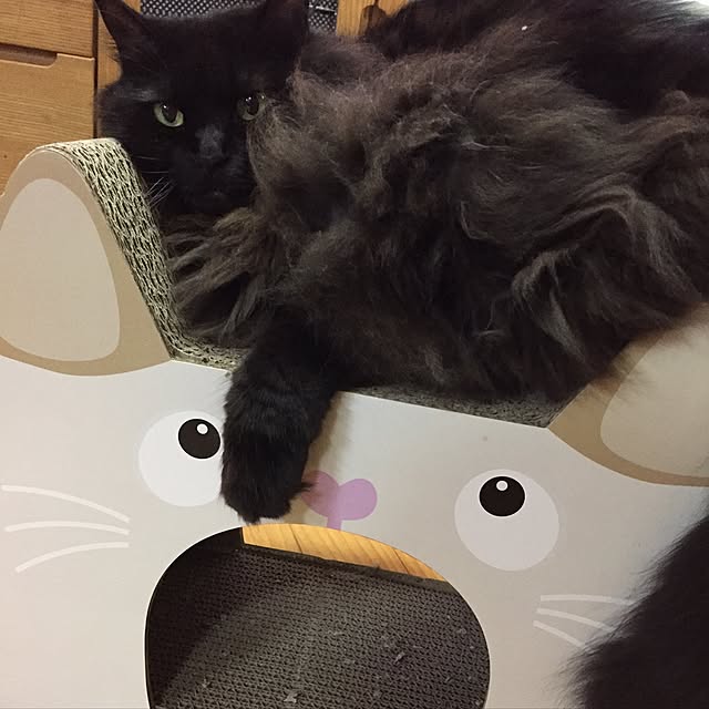 12tubaiさんの実例写真