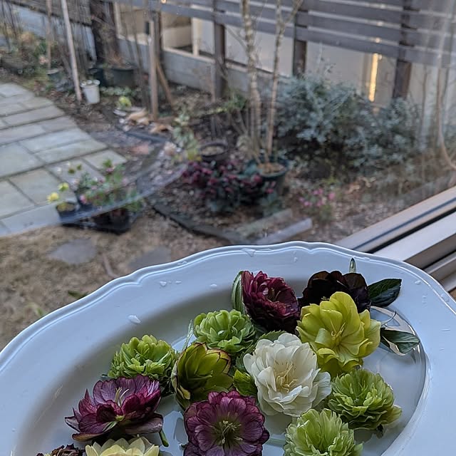 nolleyさんの部屋