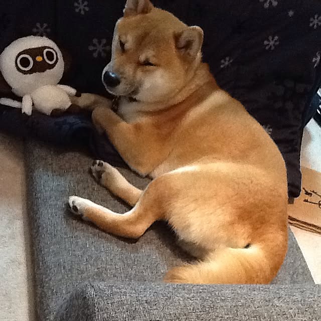 kotaさんの実例写真