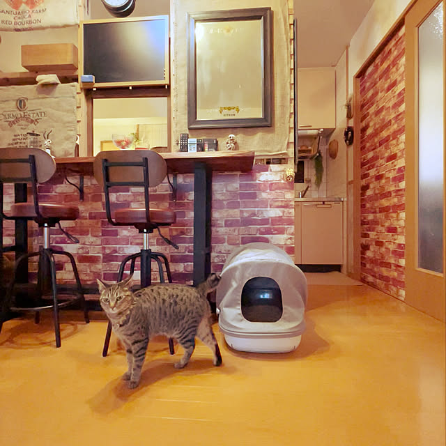 Mさんの実例写真