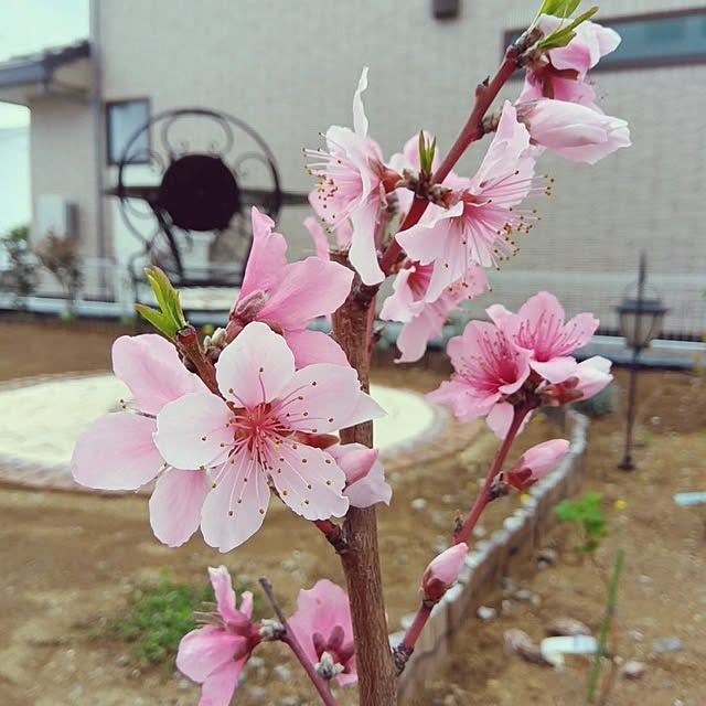 shiori.さんの部屋