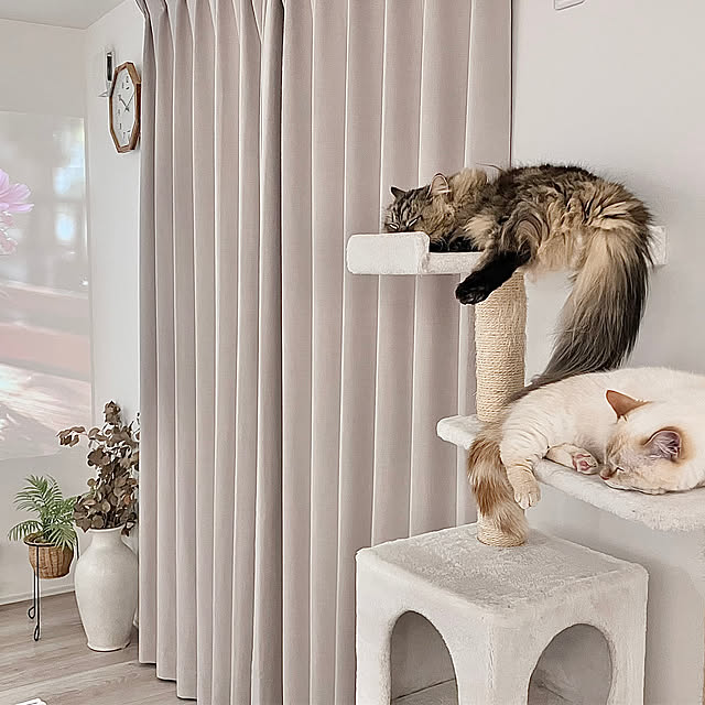 sobokuさんの実例写真