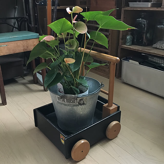 furu.さんの実例写真