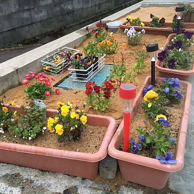 taitaiさんの実例写真