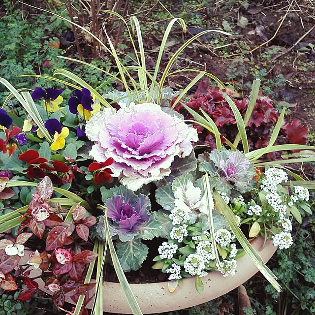 garakuta-GARDENさんの実例写真