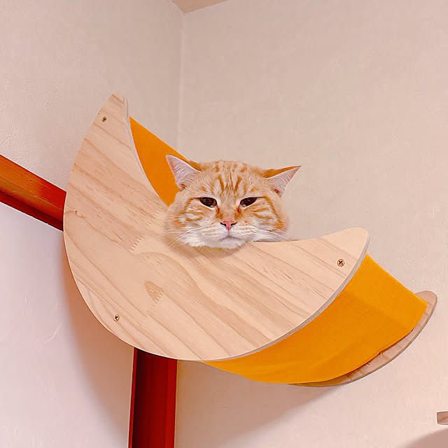 moolさんの実例写真