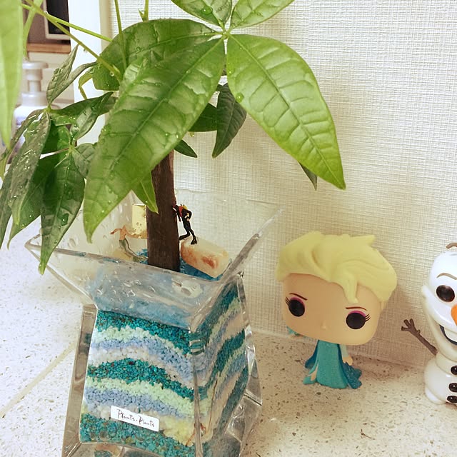 kanako_ameさんの実例写真