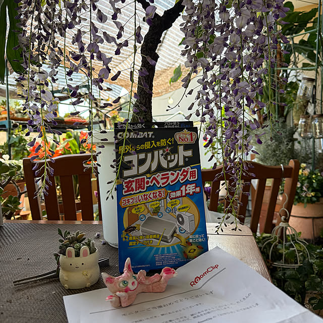 Aqettyさんの部屋