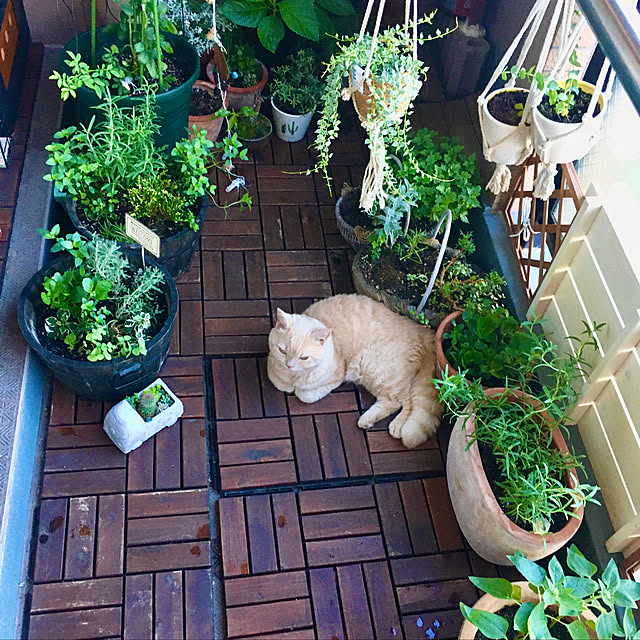 naokoさんの実例写真