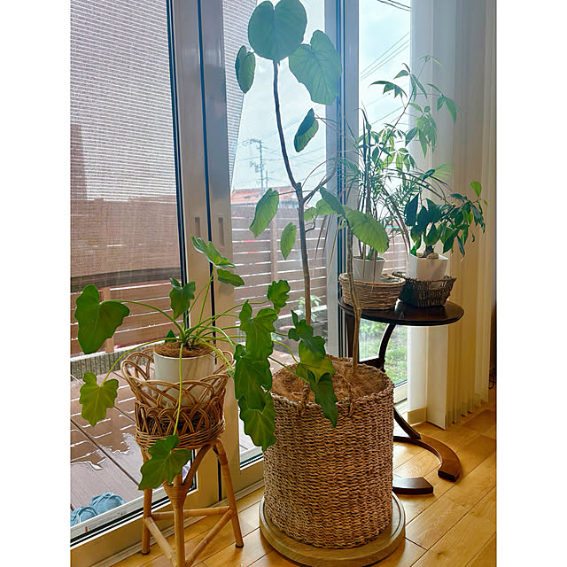 rihiさんの部屋
