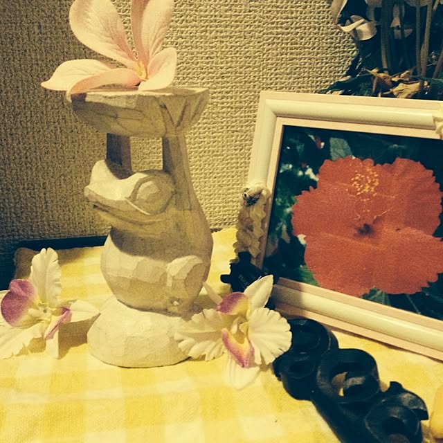 cat.mさんの実例写真
