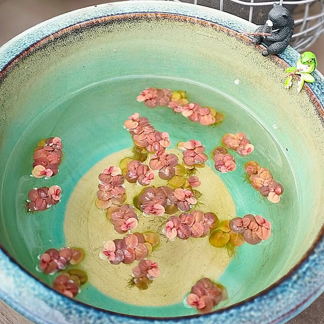 teamoさんの実例写真