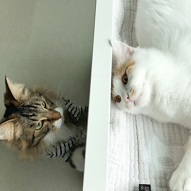 yuchiさんの実例写真