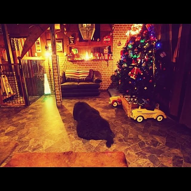 my pet monsterさんの実例写真