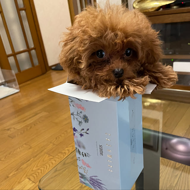 mamizaさんの実例写真