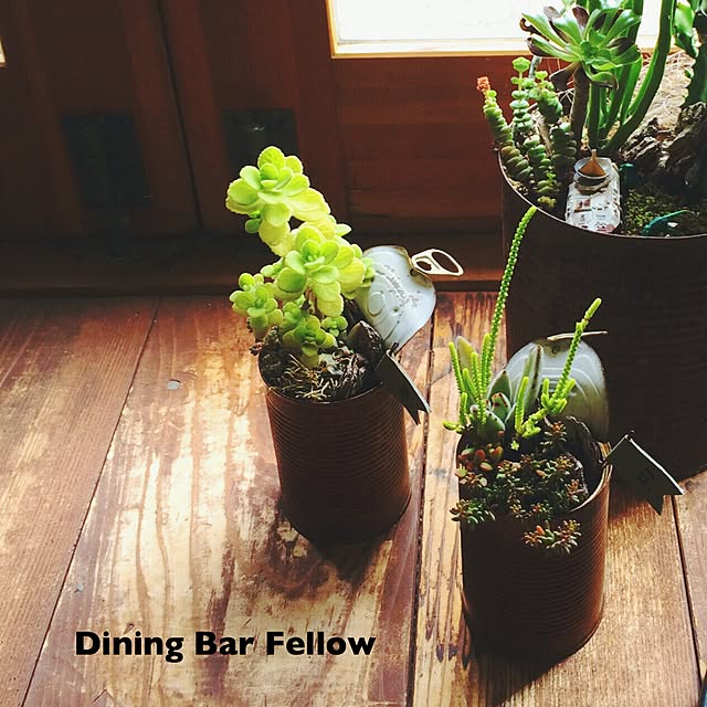 Fellowさんの実例写真