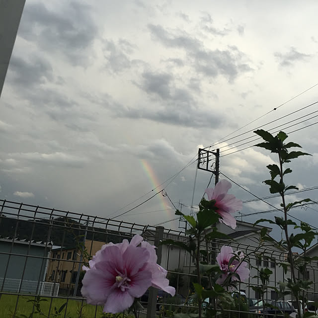 odekoさんの実例写真