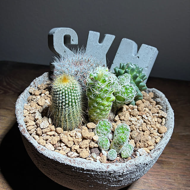 mkk8739hanasakuさんの実例写真