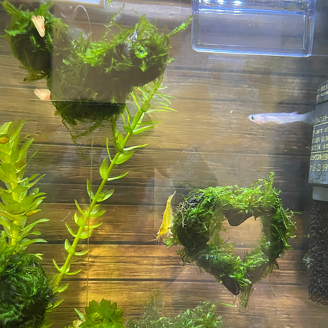 abap845さんの部屋