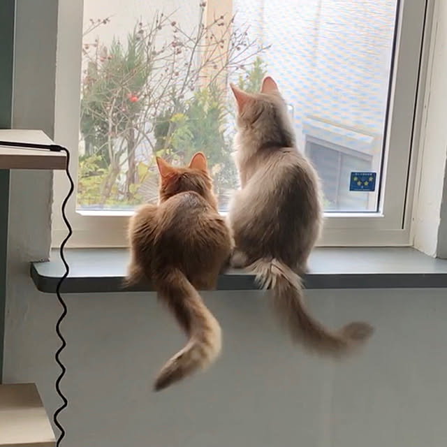 paradise_viewさんの実例写真